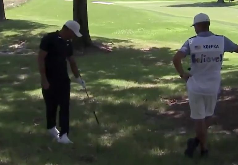 koepka ant dechambeau