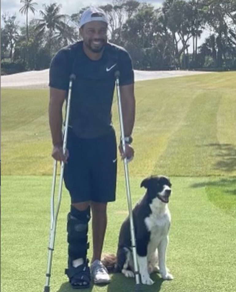 tiger woods bequille chien accident
