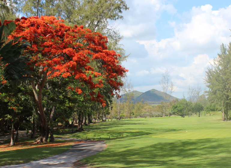 Flamboyant2019 Golf Planète