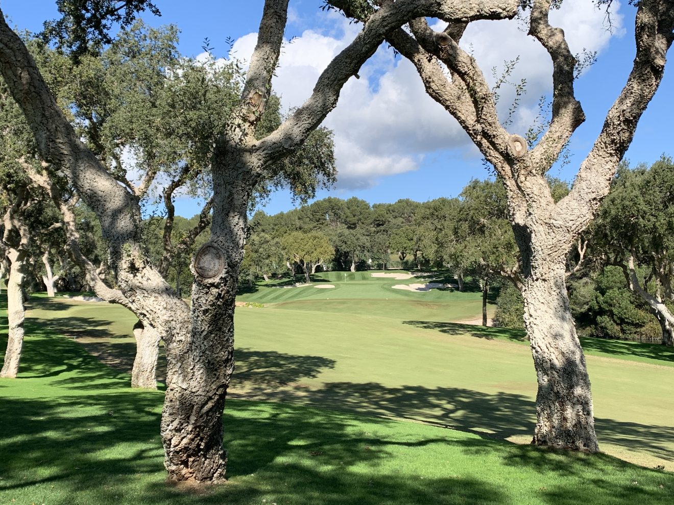 Andalousie : le top 10 des golfs à jouer une fois dans sa vie !