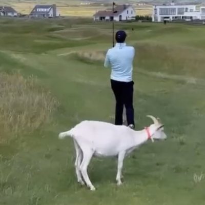 Spieth en Irlande avec The Goat en attendant de retrouver Tiger Woods