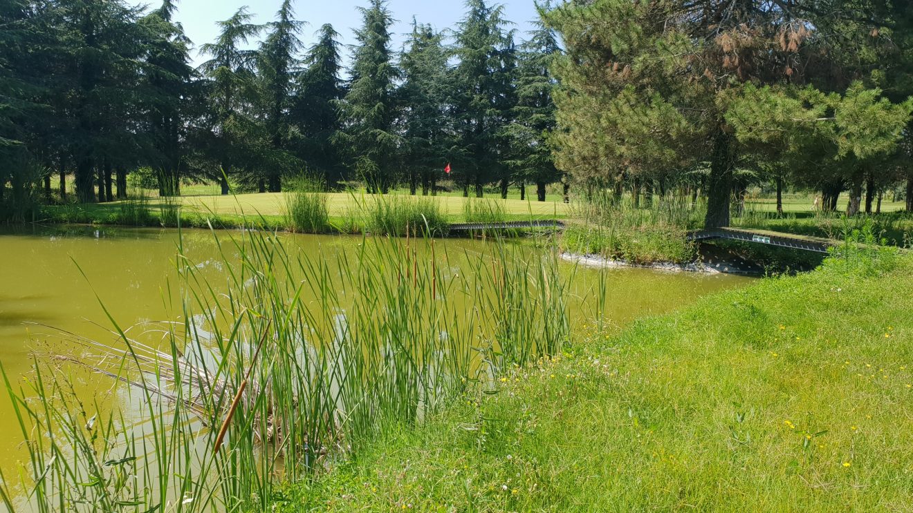 Qui vend et qui achète un golf aujourd’hui en France ?