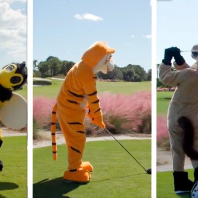 Tiger joue en costume de Tigre... Mais inquiète ses fans