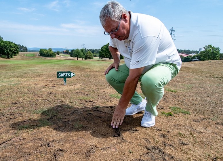 Fungicides for Spot Dollars: Don’t Leave in All Hands