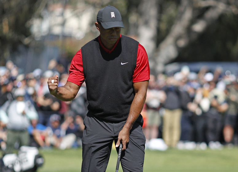 Tiger Woods Cliff Hawkins/Getty Images/AFP