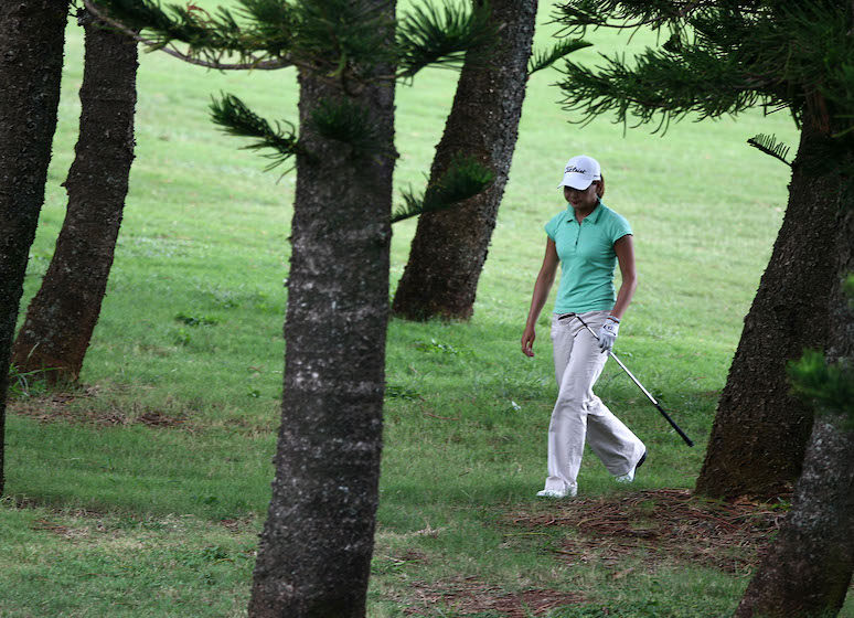 arbres Photo by DONALD MIRALLE / GETTY IMAGES NORTH AMERICA / Getty Images via AFP