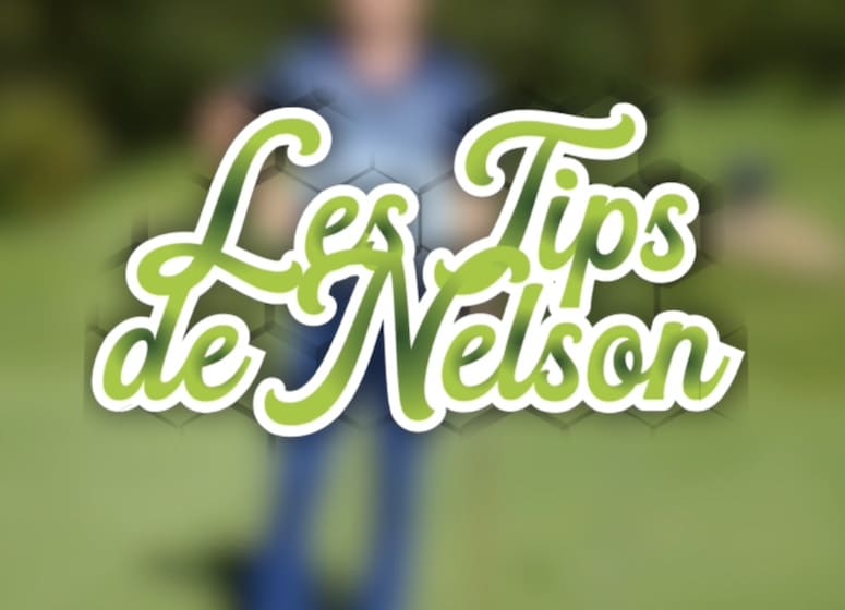 Gagner en distance avec les Tips de Nelson