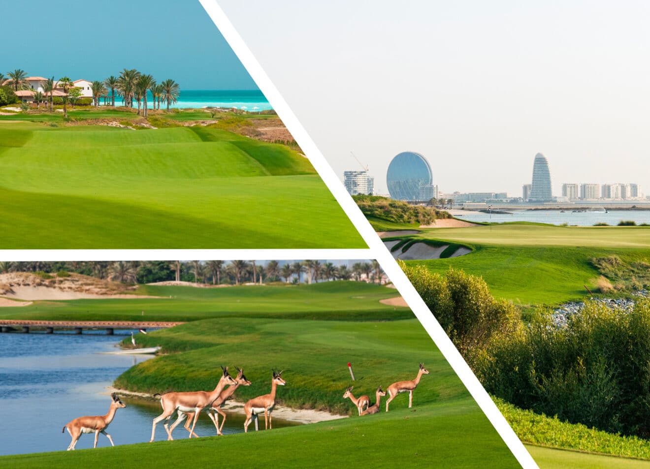 Viya étend son partenariat avec European Tour Destinations