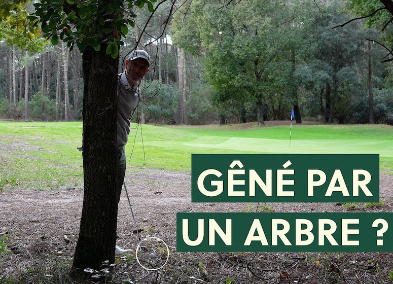 Gêné par un arbre ? Philippe Uranga a la solution